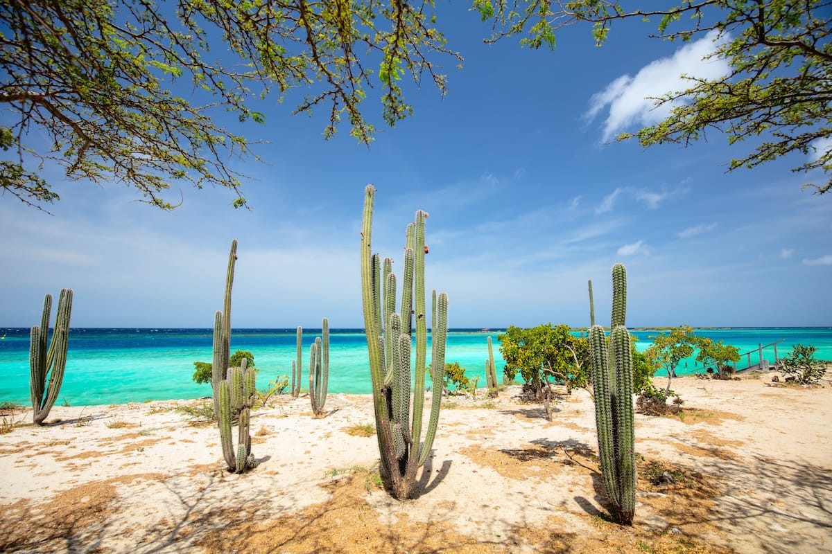 All Inclusive Resorts Planning Package